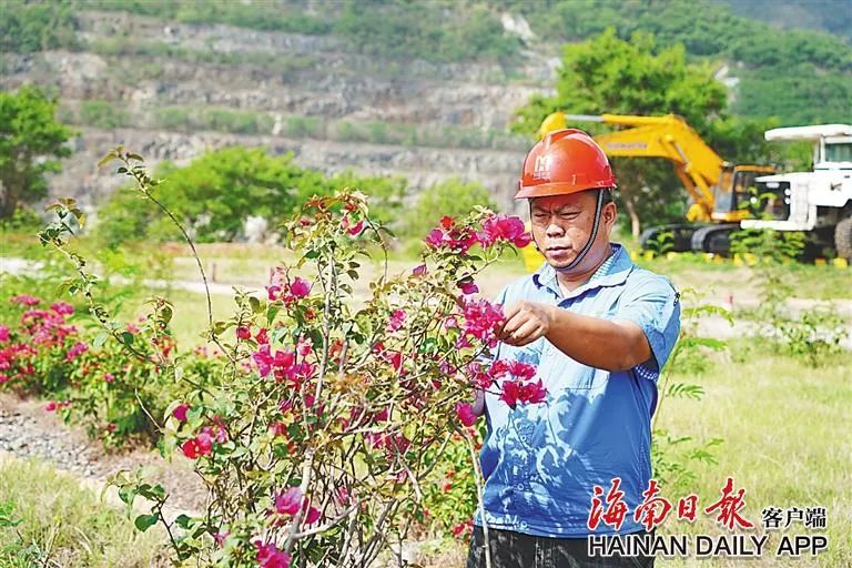 海南這座礦山，為何這么綠？4.jpg